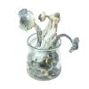 APEX Magic Mushrooms for sale
