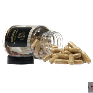 Buy Lion’s Mane Extract – 120 Capsules
